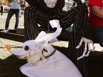 Howl-o-Ween Pet Costume Contest